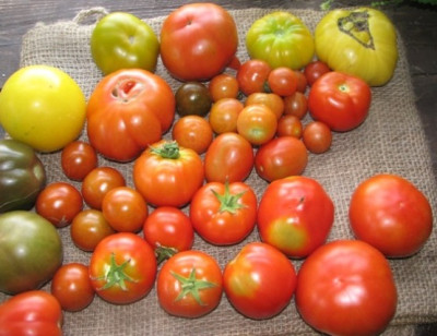 ernte080808.JPG
