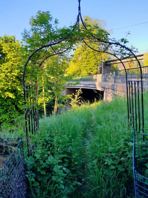 20240514_065350.jpg