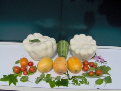 Sommerfruche.jpg