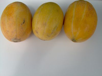die_nachsten_Blenheim_orange.jpg