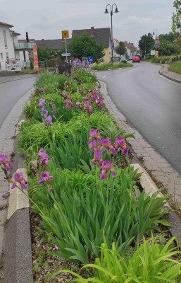 I_Herxheim_20240515_155847_B.jpg