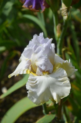 D9790.JPG