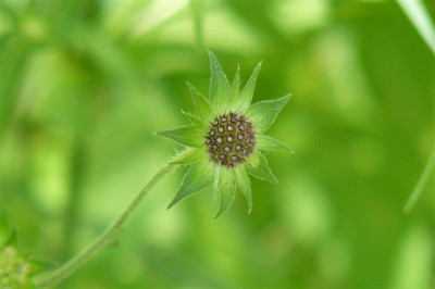 10.08.2008.40.JPG