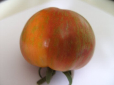 BILD1900.JPG