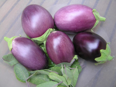 ernte110808.jpg
