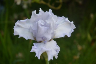 D9848.JPG