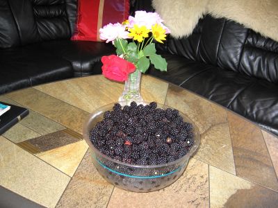Ernte_400_300.jpg