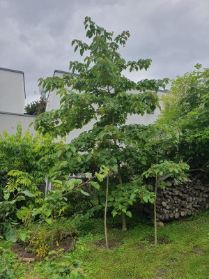 2024-05-21 16.50.55.jpg