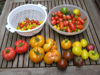 ernte120808.jpg