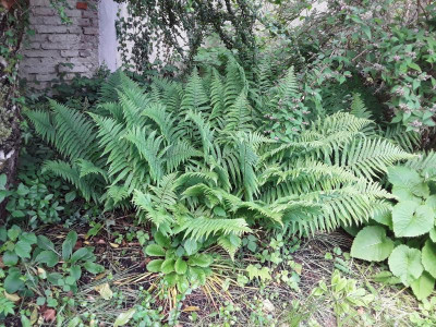 20240519_110442.jpg