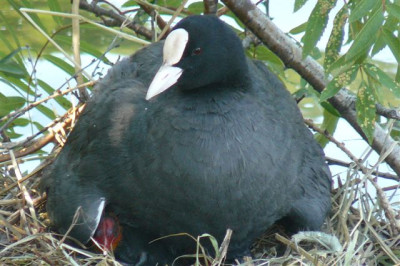 August.2008.70.JPG
