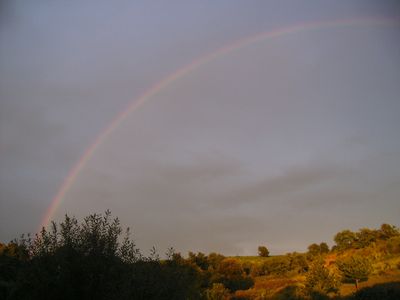 Regenkrone.jpg