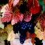 rraube_blau_avatar65x65.jpg
