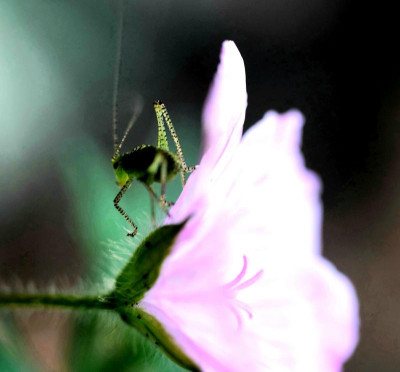 20240525_201245.jpg