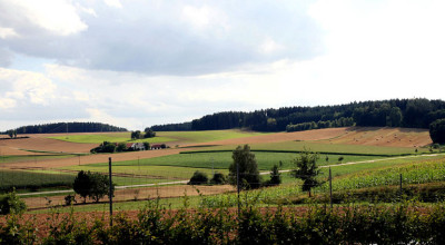 IMG1_2092.jpg