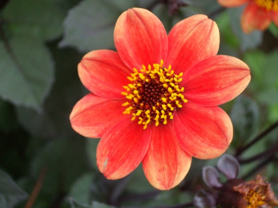 DSCF1188.JPG
