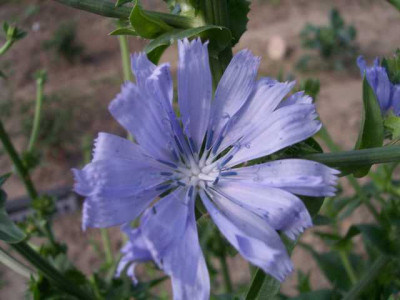 K640_100_5679.JPG