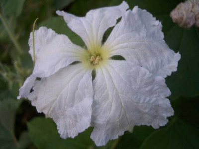 K640_100_5686.JPG