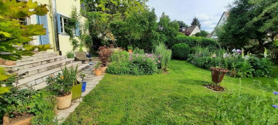 garten Mai 24.jpg