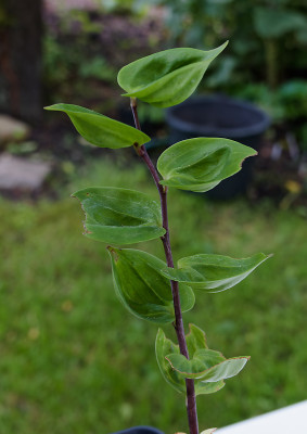 DSC01881_DxO.jpg