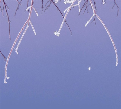 Frostiger_Mond.jpg