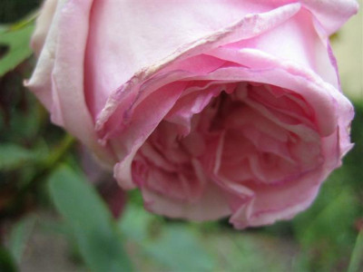 IMG_2927_Small.JPG
