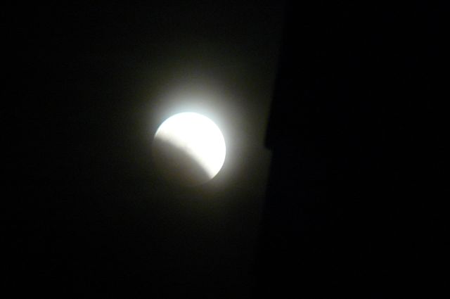 mondfinsternis.16.08.2008.20.JPG