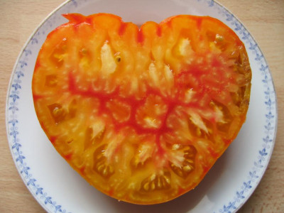 CopiaHerzSchnitt.jpg