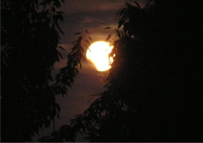 mondfinsternis160808kl.jpg