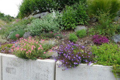 DSC03747.JPG