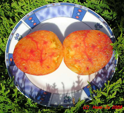 orange_russian_schnitt_a.jpg