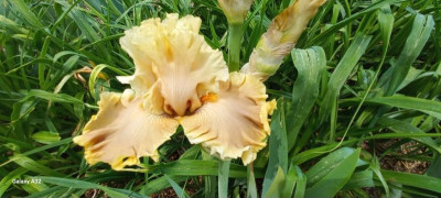 20240602_112607.jpg