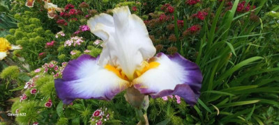 20240602_112127.jpg