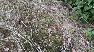 IMG-20240603-WA0014.jpeg