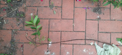 20240603_173052.jpg