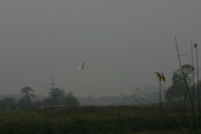 Revier-Dez-1.jpg