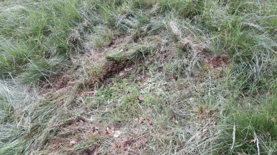 IMG-20240606-WA0024.jpeg
