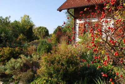 oktober_2007.jpg