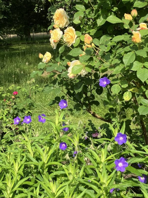 IMG_3656.jpeg