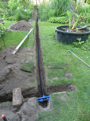 2024-06-08 Garteneinblick 1.jpg