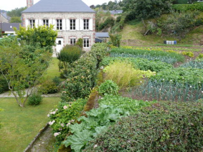 P1150080_1.JPG