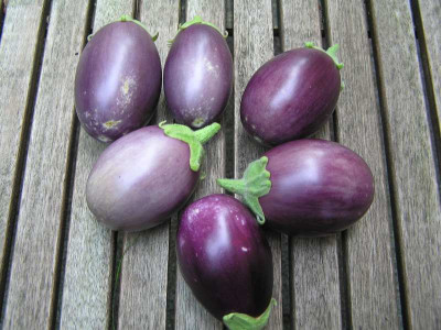 ernte190808.jpg