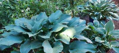 20240609_102737.jpg
