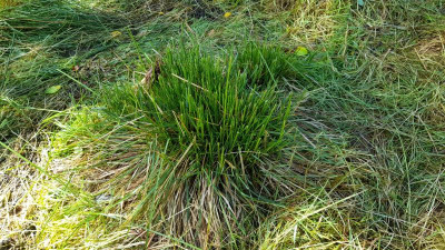 IMG-20240612-WA0010.jpeg