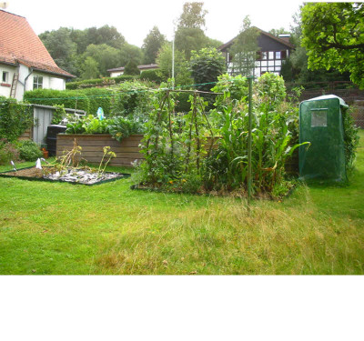 Gemusegarten_2_8.08.jpg