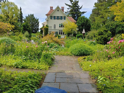 Foerstergarten20240612_134348_HDR.jpg