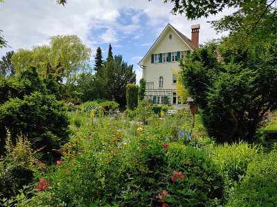 Foerstergarten20240612_134534_HDR.jpg