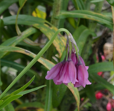 DSC01915_DxO.jpg