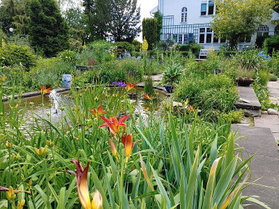 Foerstergarten20240612_172540.jpg