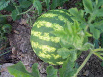 K640_100_5762.JPG
